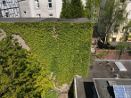 Rückseite - Grundstück mit Altbestand in Wuppertal-Wichlinghausen